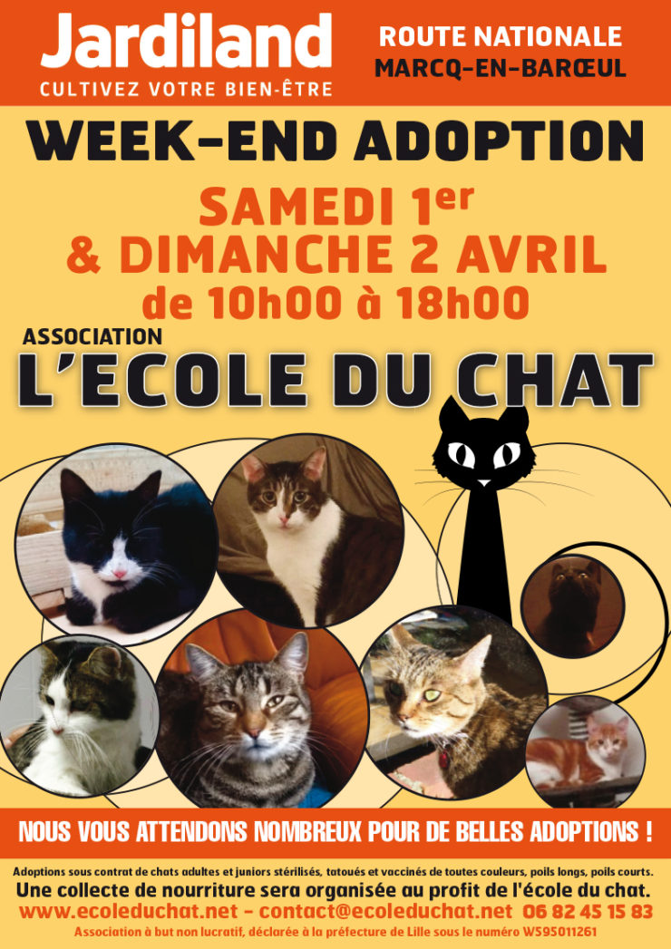 Week End D Adoption 1er Et 2 Avril Au Jardiland De Marcq En Baroeul Ecole Du Chat De Marcq College