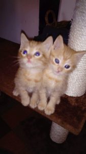 received_1504808142864967