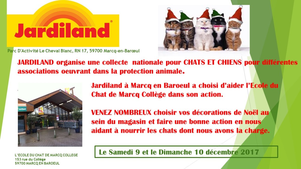 Grande Collecte Les 9 Et 10 Decembre Au Jardiland De Marcq Ecole Du Chat De Marcq College