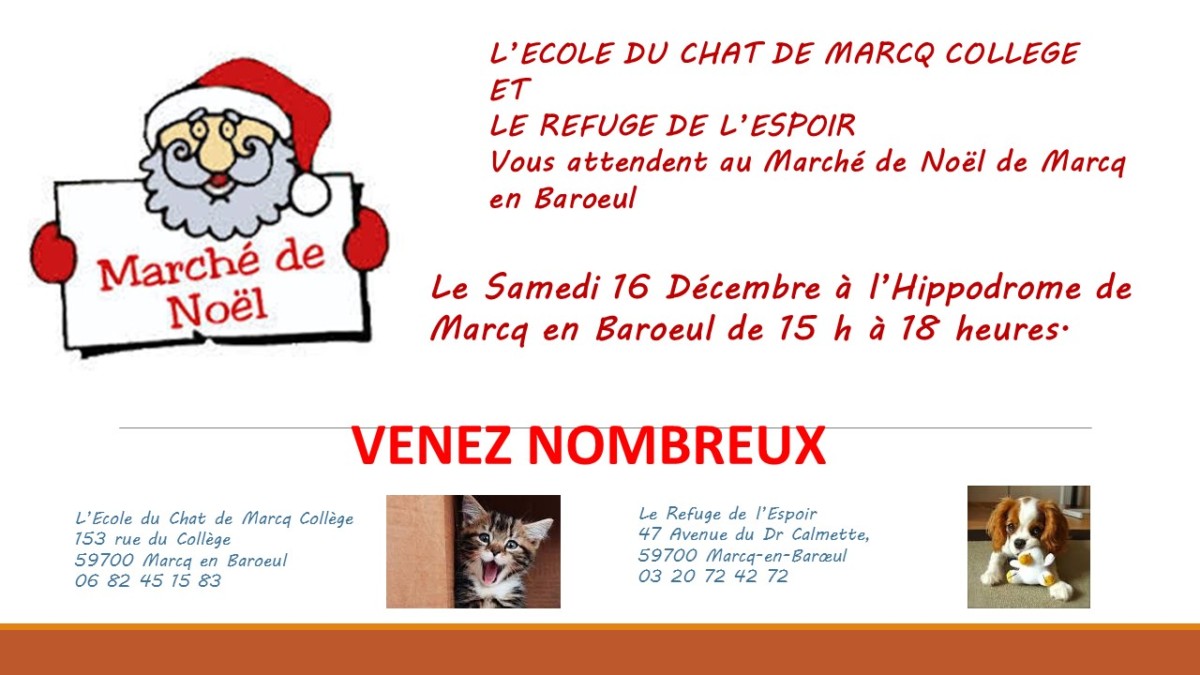 Marche De Noel 16 Decembre 17 A Marcq En Baroeul Ecole Du Chat De Marcq College