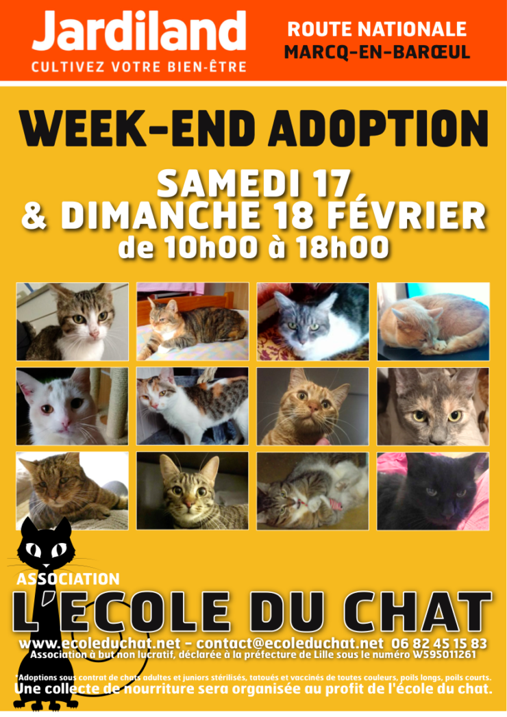 Week End D Adoption 17 Et 18 Fevrier 18 Au Jardiland De Marcq Ecole Du Chat De Marcq College