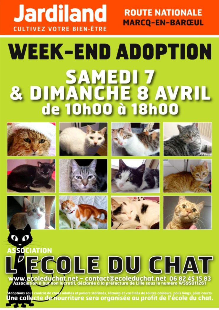 Week End D Adoption Les 7 Et 8 Avril Au Jardiland De Marcq Ecole Du Chat De Marcq College