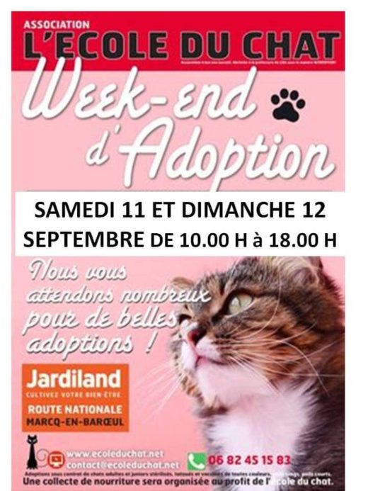 Ecole Du Chat De Marcq College Association Pour La Protection Des Animaux