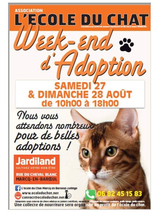 Ecole Du Chat De Marcq College Association Pour La Protection Des Animaux